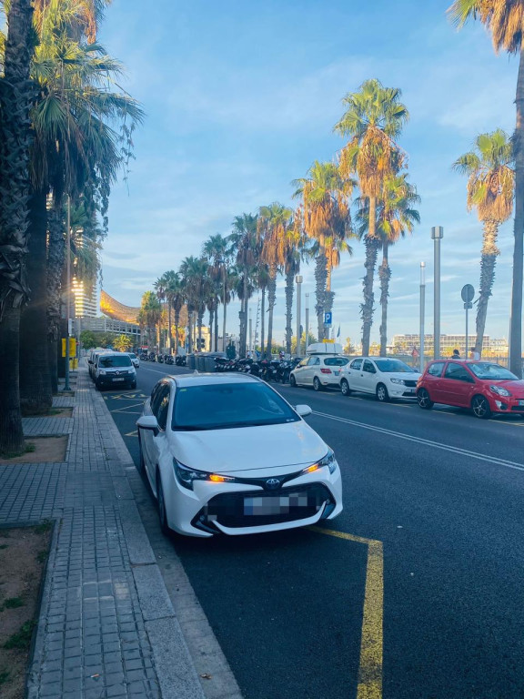 🚘 ავტომობილი: Toyota Corolla Touring Sports